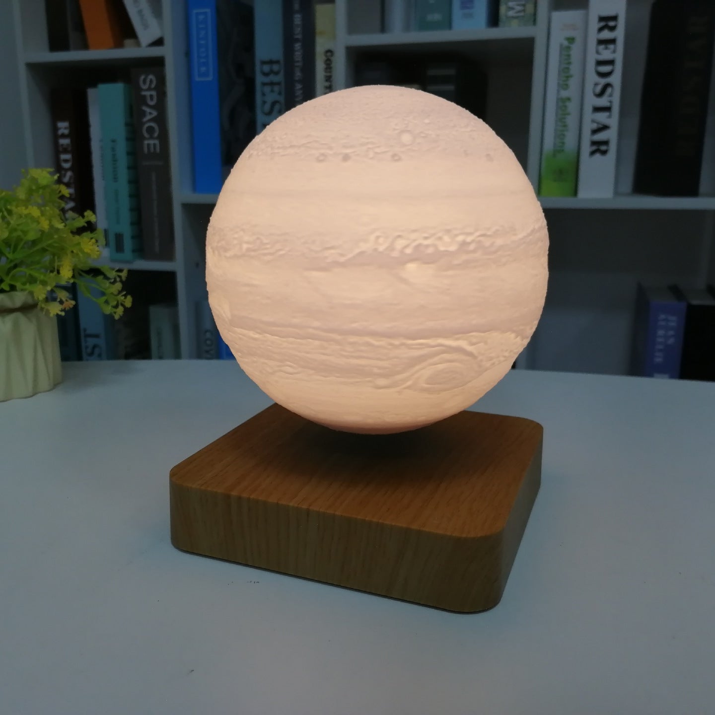 Mindful Moon