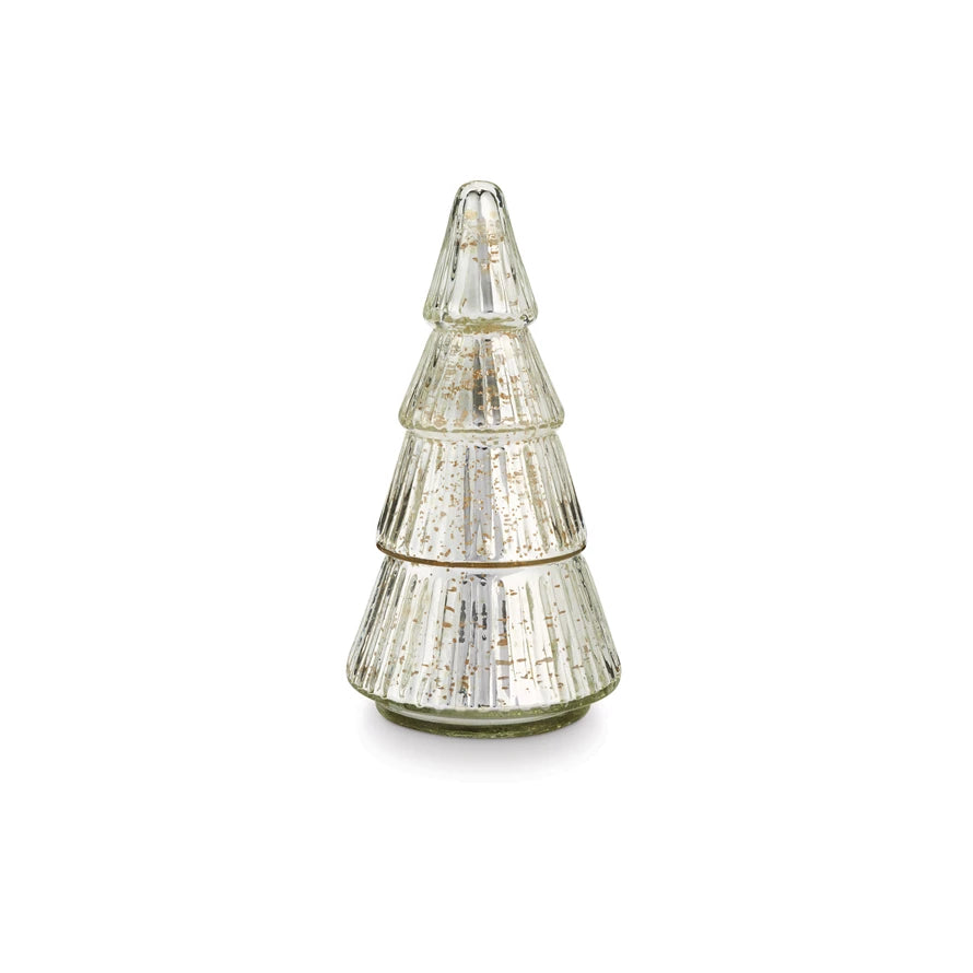 Balsam & Cedar Collection-Seasonal