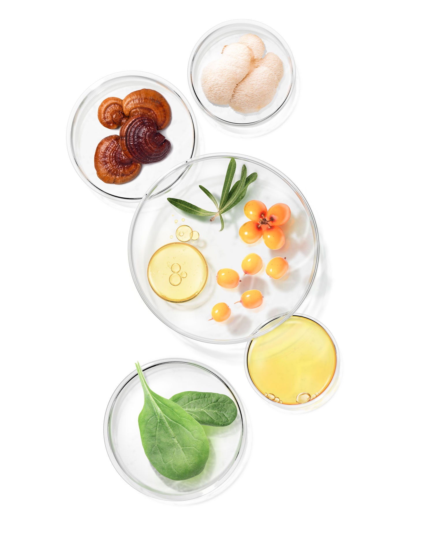 VITAMINE UND MINERALIEN