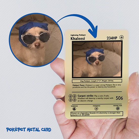 Additional Metal Cards - Poke Pet Shop