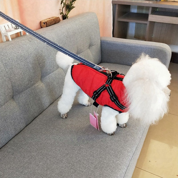 Winter Dog Harness Jacket