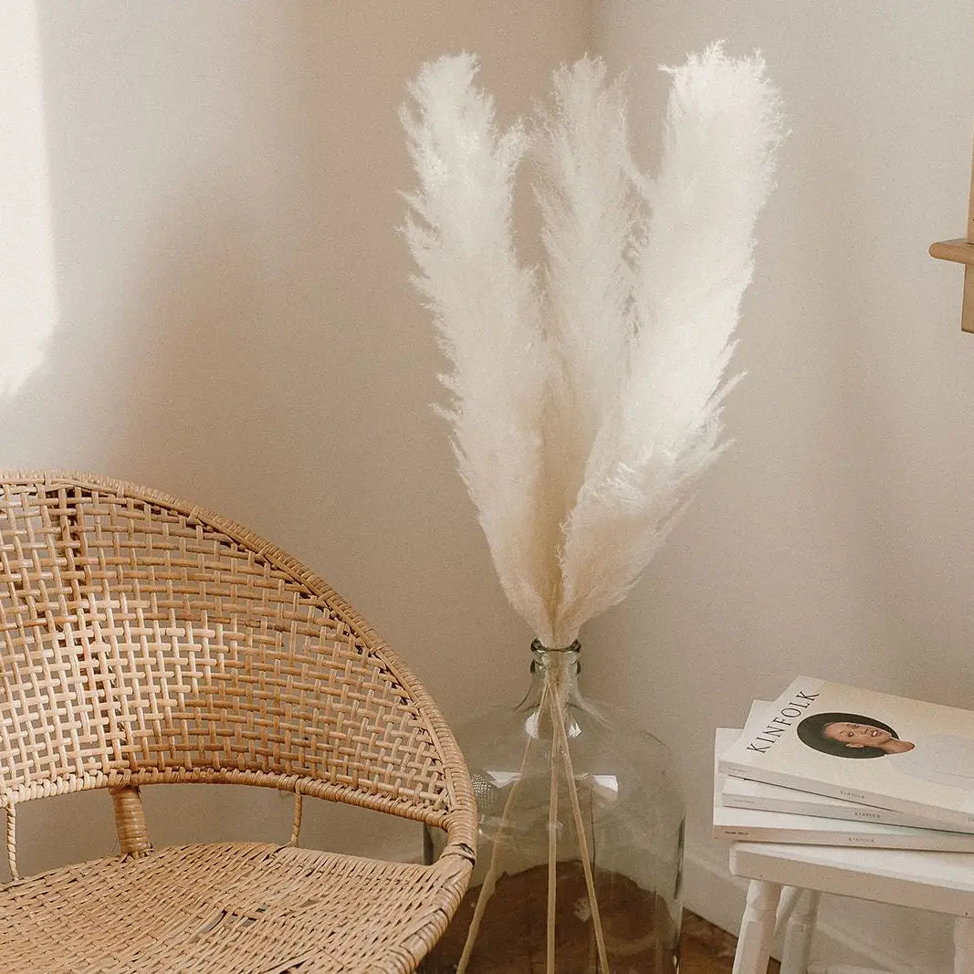 Bleached White Pampas Grass