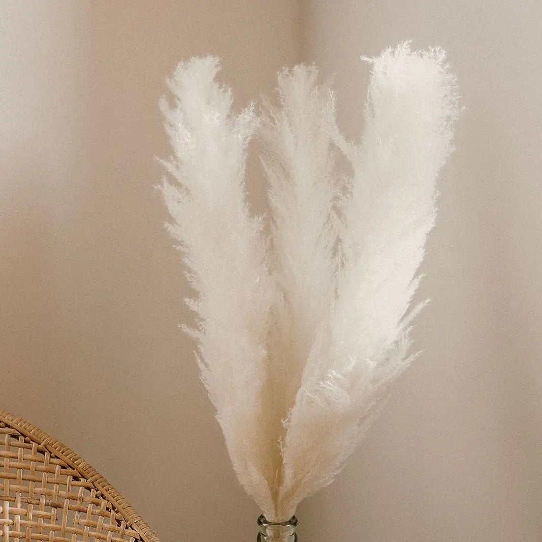 Bleached White Pampas Grass