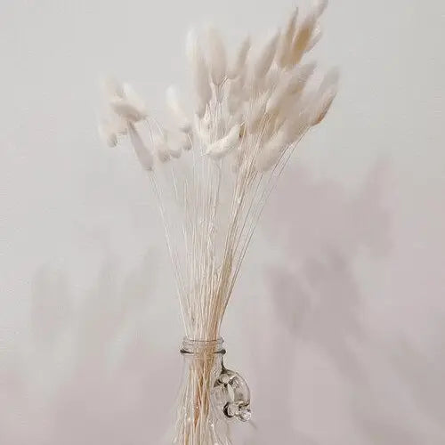 Dried Bunny Tails Grass Bouquet