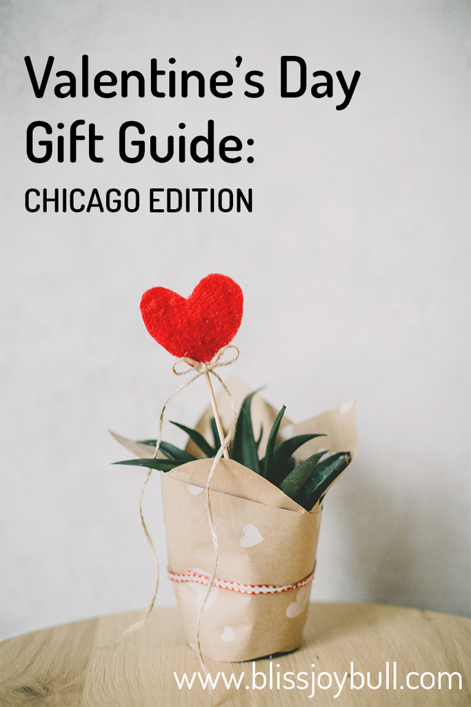 Text of Valentine's Day Gift Guide: Chicago Edition on image of spiky green plant, wrapped with kraft paper printed with small white hearts. A felt heart and ribbon bow attached to a wood stick, sticks out of the plant. 