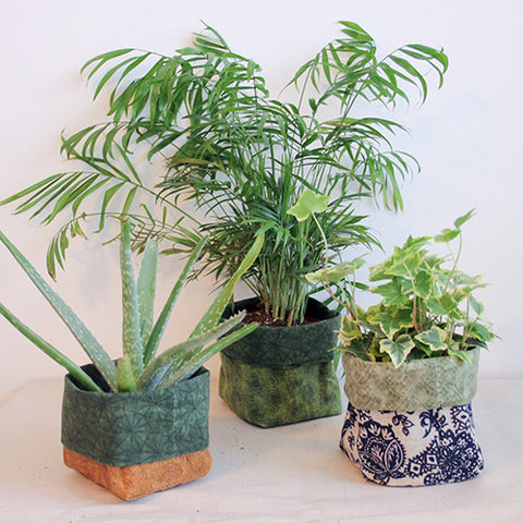 three plants peaking out of square fabric waxed canvas holders