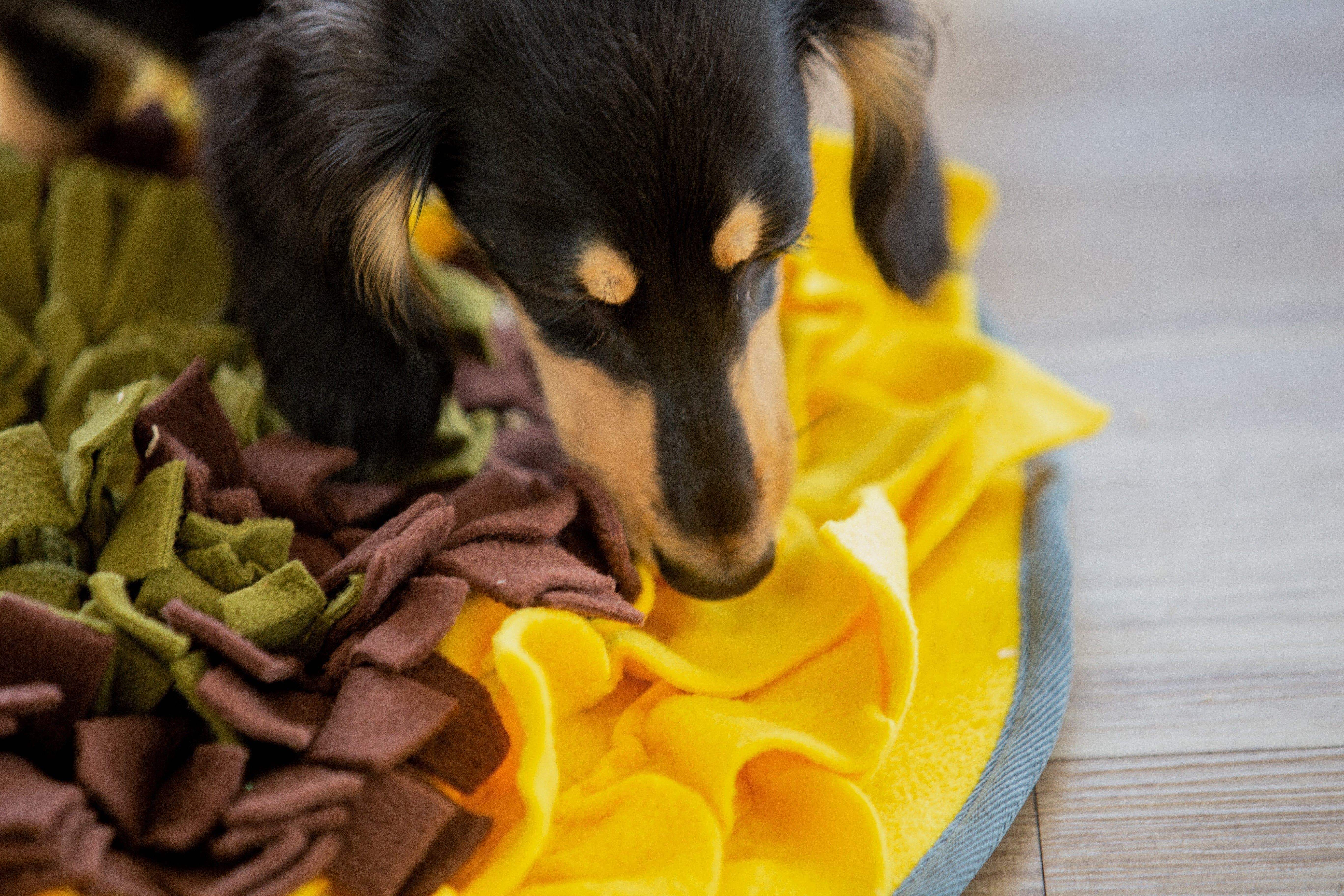 sunflower snuffle mat