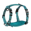 Alcott Adventure Blue Nylon Harness