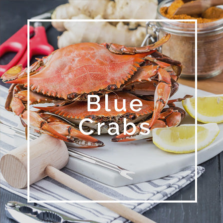 Blue Crabs