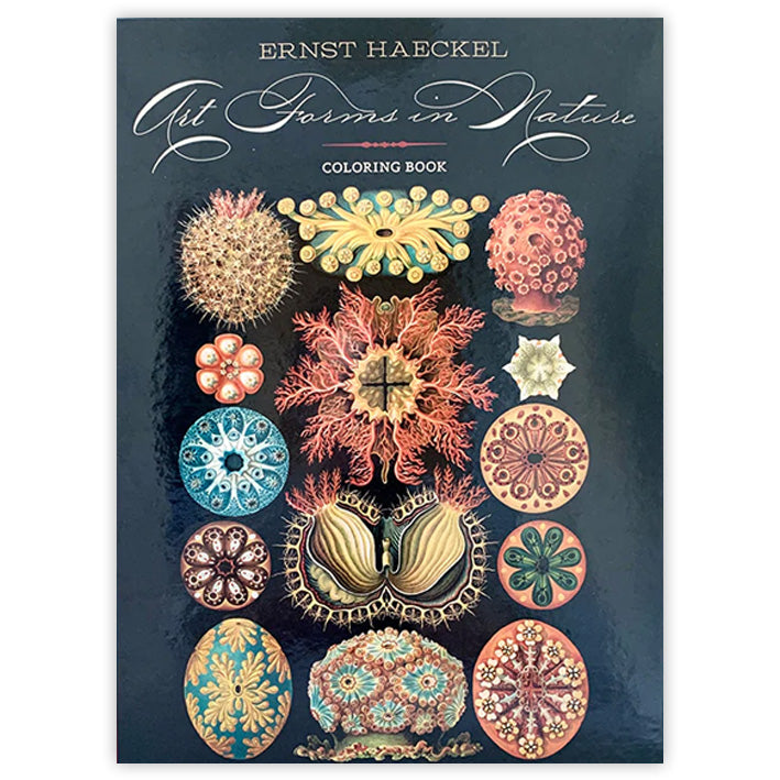 恩斯特·海克尔-自然中的艺术形式涂色书