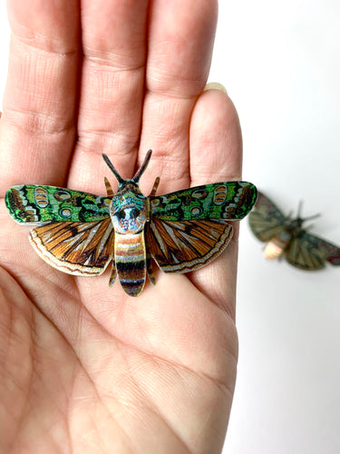 The Portland Moth胸针(The Portland Moth胸针