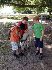 Summer Camp at Legare Farms