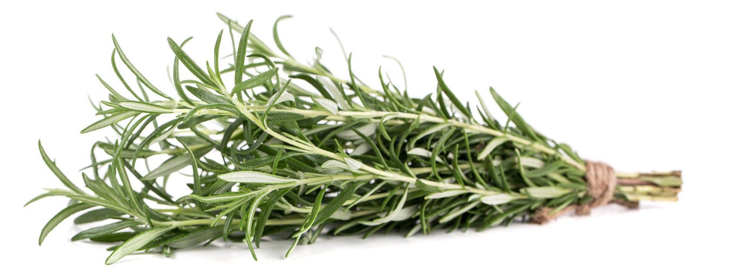 Thyme