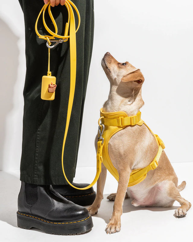 Wild One Poop Bag Carrier 2.0 - Butter✨ Limited Edition