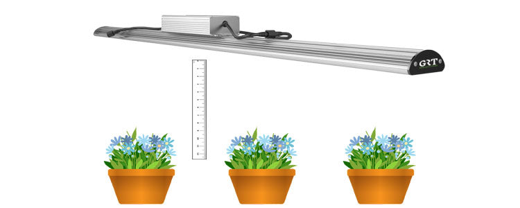 MLED hanging height