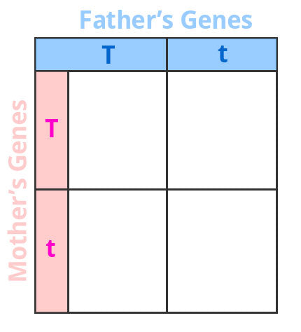 Punnet Square labels