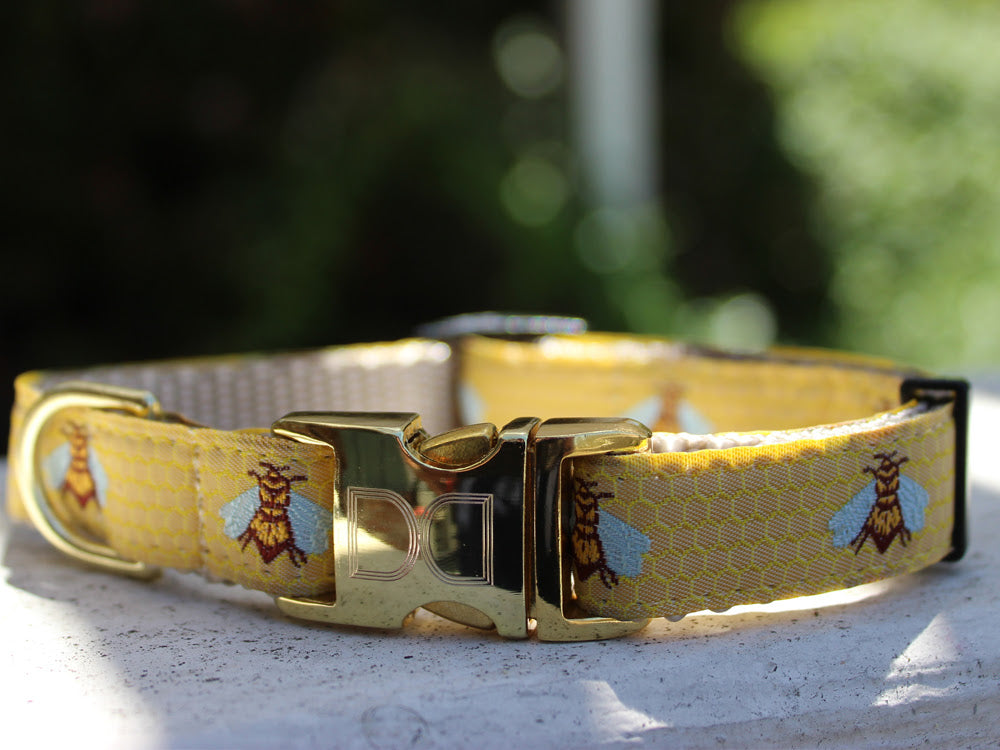 ribbon dog collars