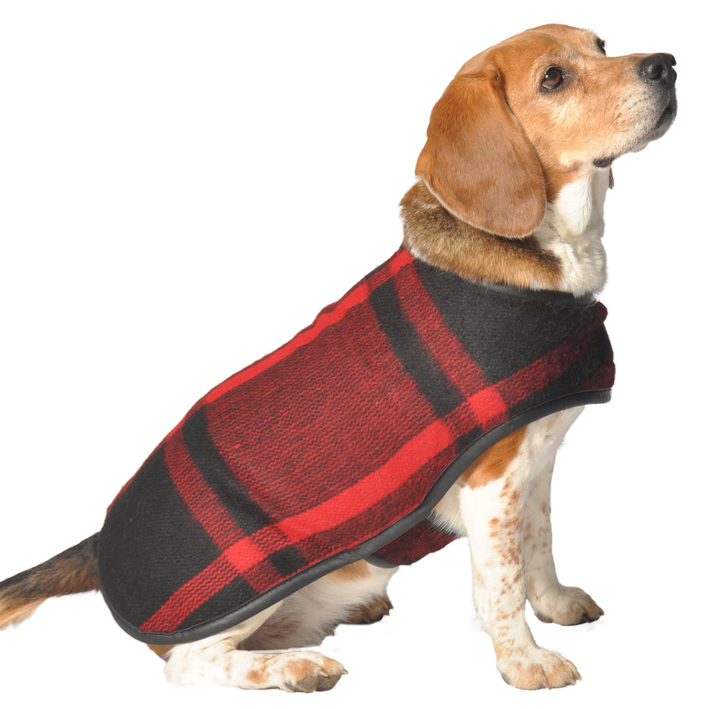 wool dog jumpers