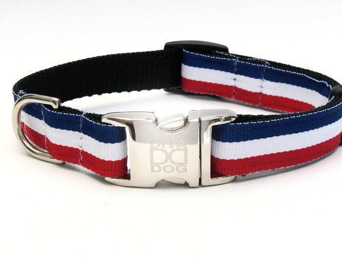 nylon dog collar with metal buckle