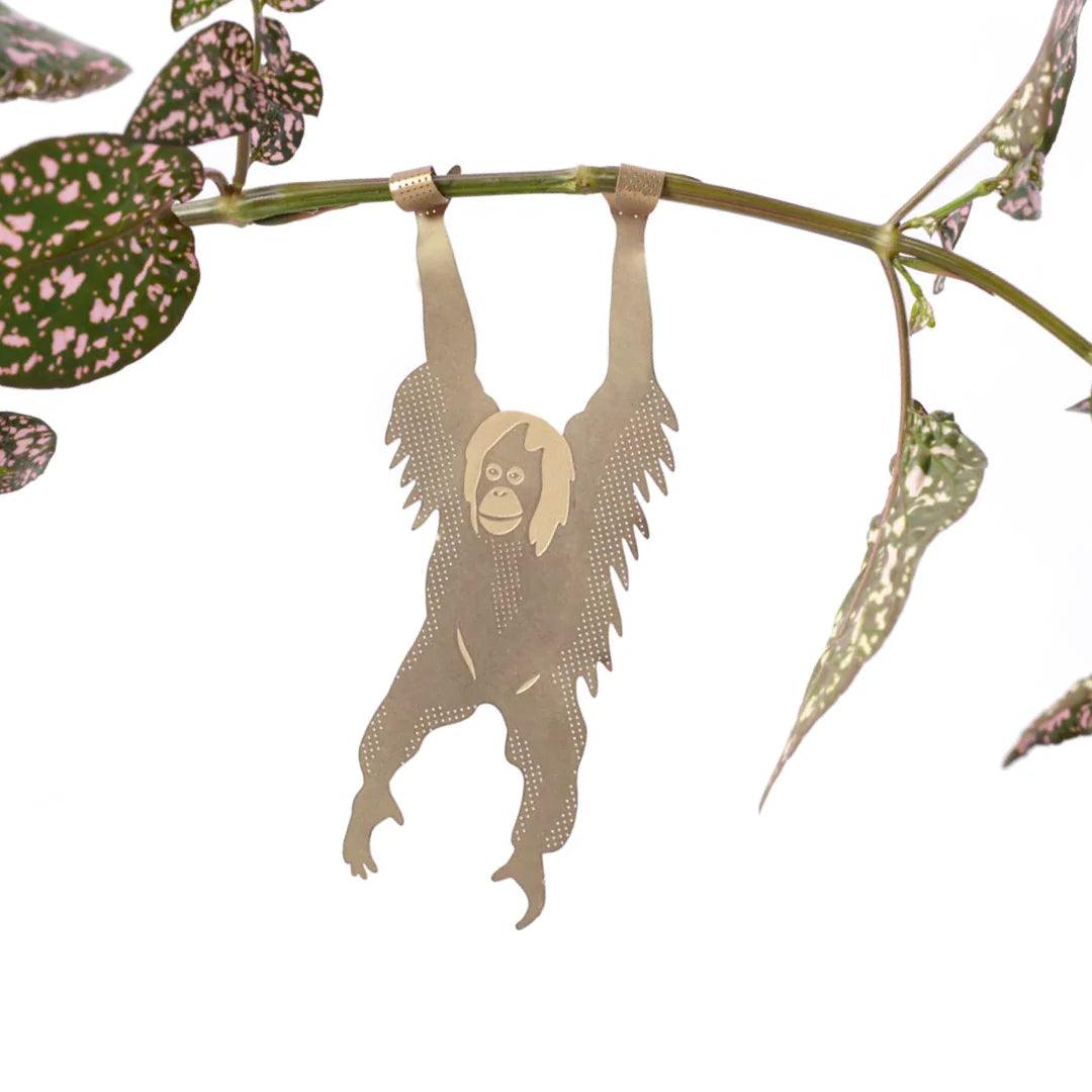 Plant Animal