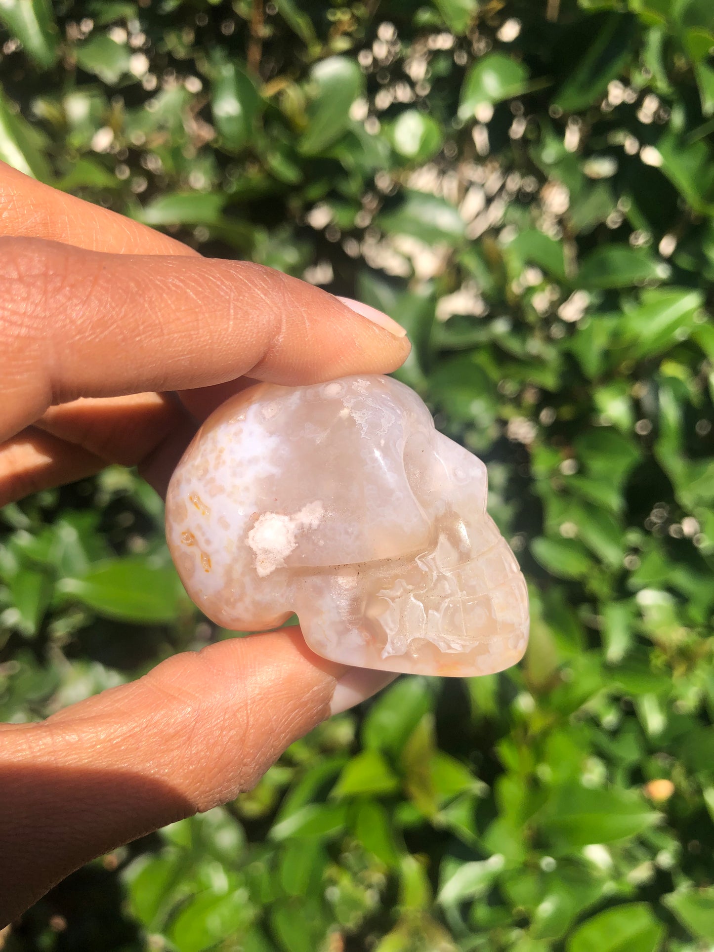 Flower Agate Skull