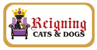 Reigning Cats  Dogs
