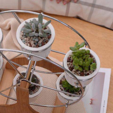 Coral - Ferris Wheel White Ceramic Flower Pots - Nordic Side - Modern Planters