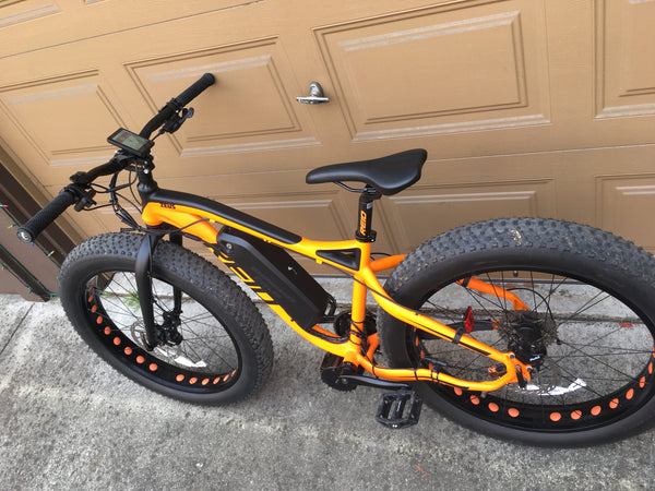 Reid Zeus Fat bike BBSHD 1000 watt EMPowered Cycles