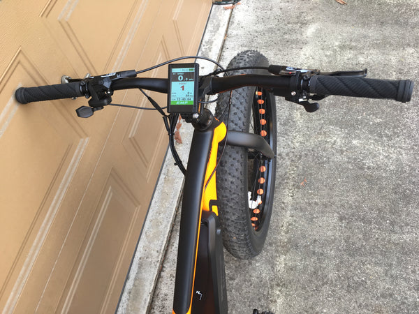 Reid Zeus Fat Bike 120mm BBSHD DPC-14 display EMPowered Cycles