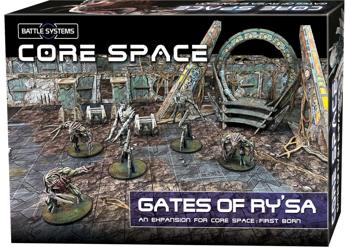 Core Space First Born Gates of Ry'sa Expansion