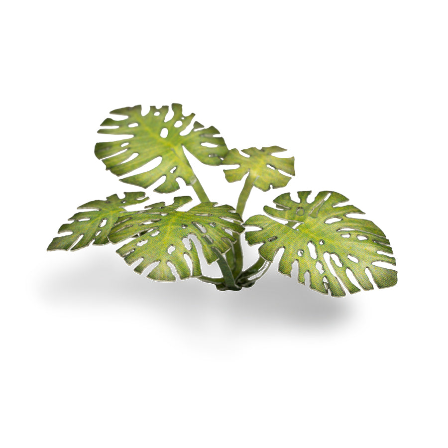 Gamers Grass Laser Plants - Monstera