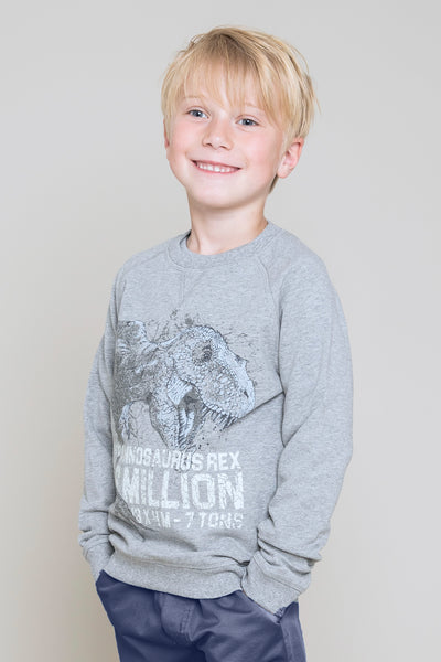 Wheat Dinosaur Sweatshirt