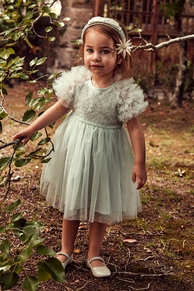 Flower Girls Dress Tutu Du Monde Sea Holly Tulle Baby Dress