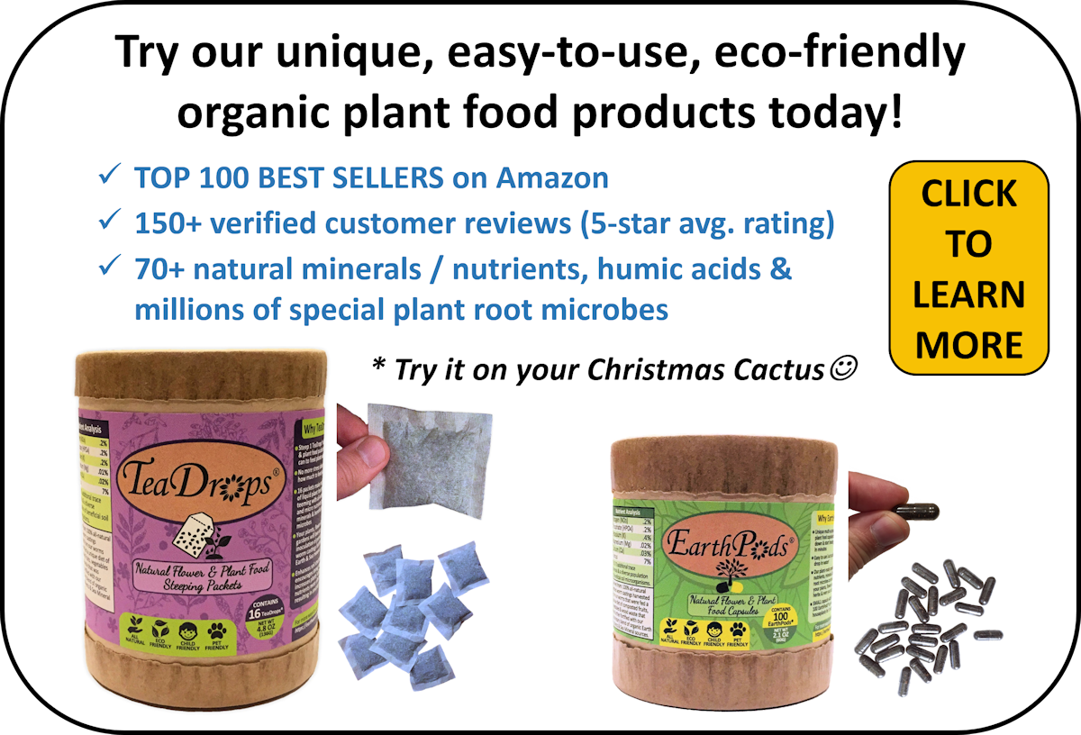 Feed Your Orchids With Our TeaDrops 100% All Natural Organic Plant Food Steeping Packets
