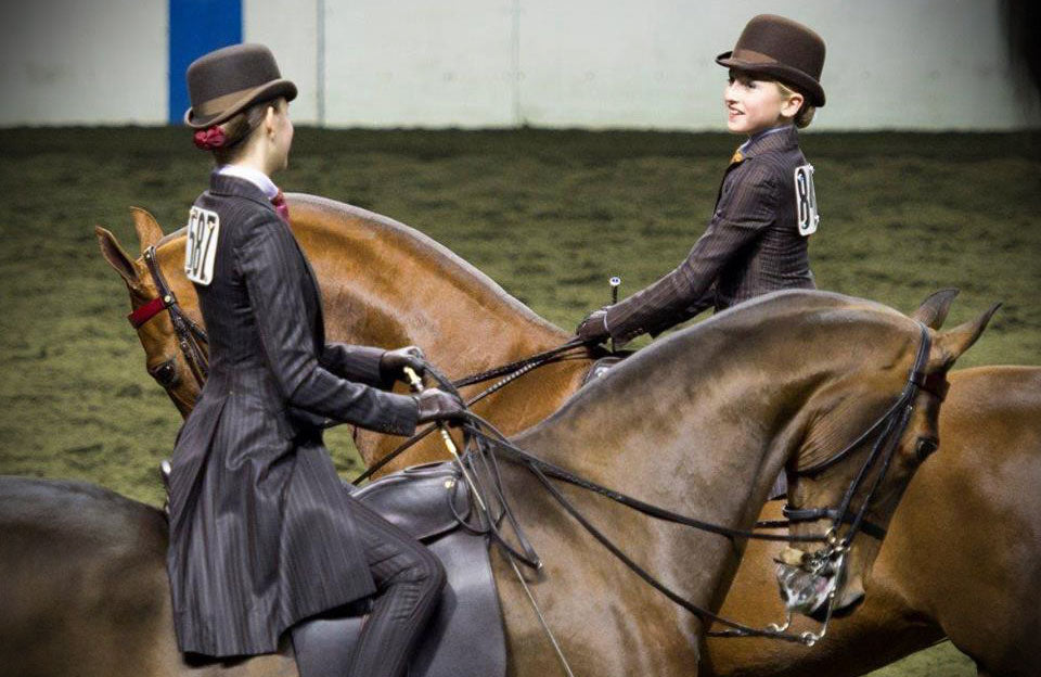 Creating a successful school program can be the foundation for a Saddlebred barn's success