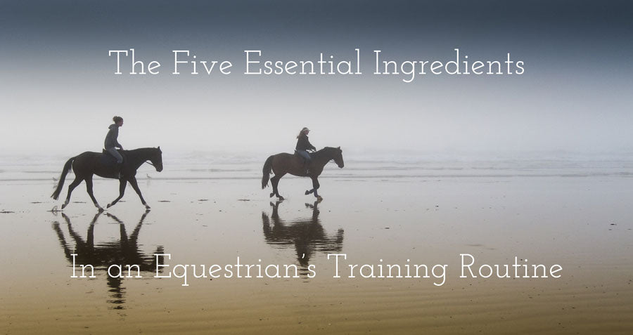 The five essential horse riding tips for beginners and intermediate riders