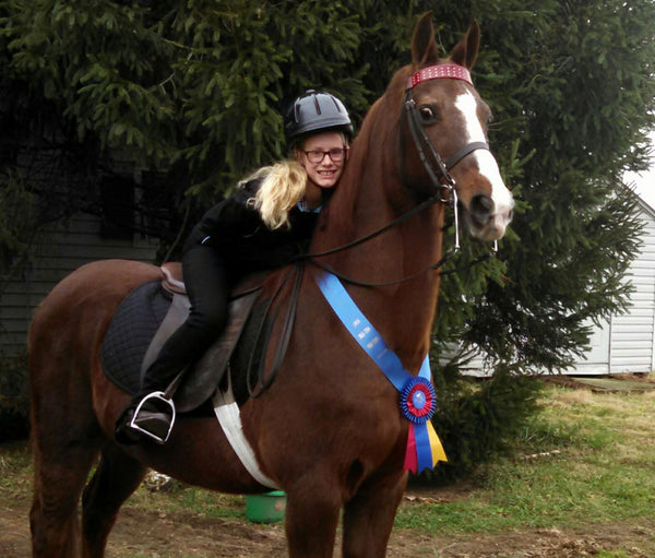 Academy superstar Saddlebred Jimmy from Brannon Stables in Lexington, Kentucky