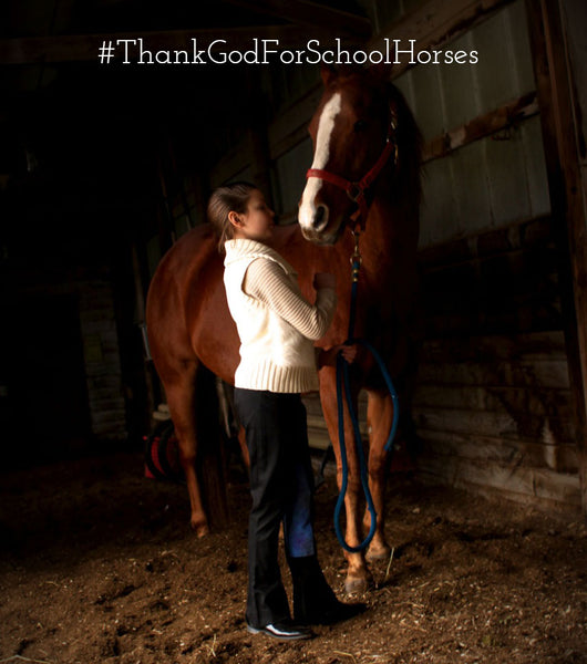 The five reasons we love school horses