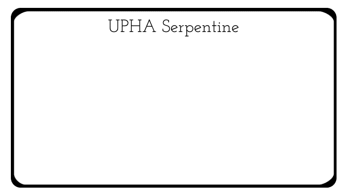 How to do a UPHA serpentine horse show pattern