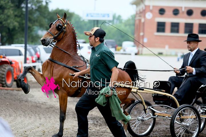 Why grooms need plenty of appreciation this week