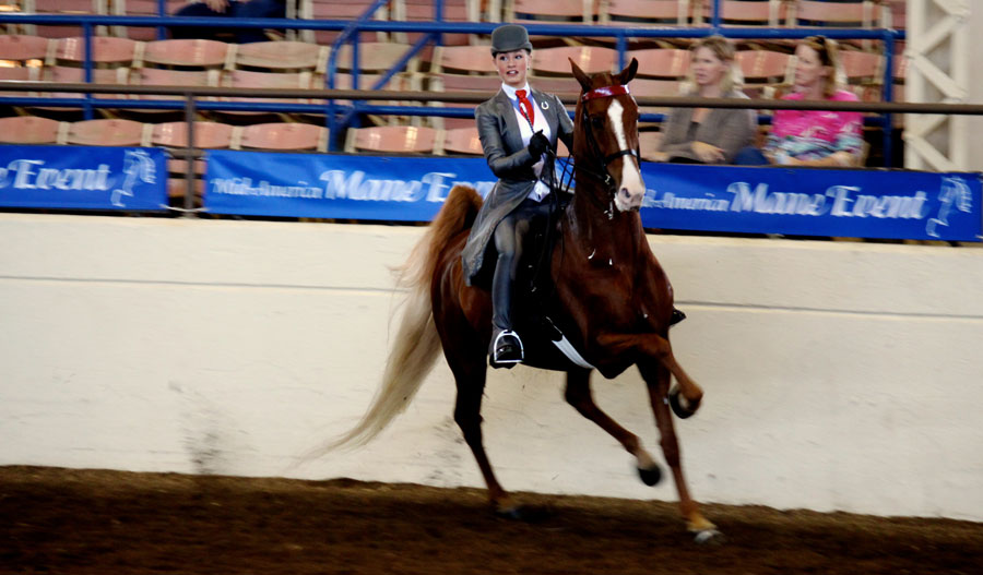Good posture is essential for maintaining good horse show form