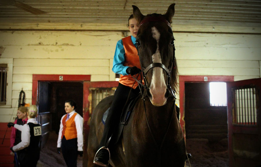 The five steps that will help you canter a horse like a pro