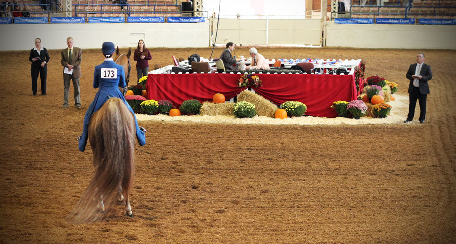 How to perfect a UPHA serpentine horse show pattern