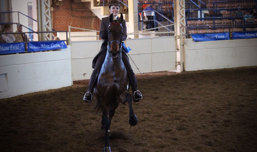 Tips for winning your saddle seat equitation class