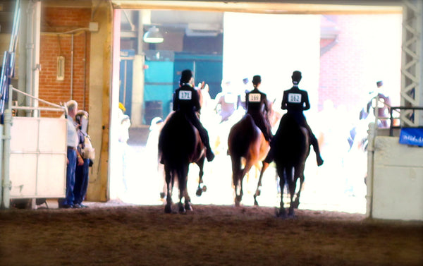 Is equitation the right horse riding discipline for you?