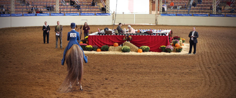 The three secrets to winning a horse show where you're the only rider