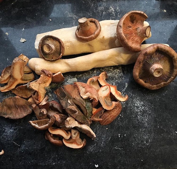 JOSEF'S RECIPE: Gluten-free Gnocchi with Pine mushrooms