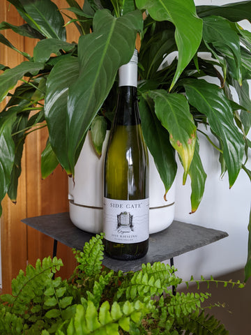 ✨ New Release ✨ 2019 Organic Riesling - Clare Valley!