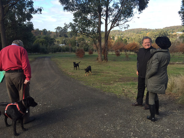 oak hill truffle farm