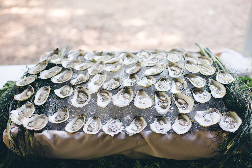 Rachel and Matthew - June Wedding at Awbury Arboretum | Oysters | Tallulah Ketubahs